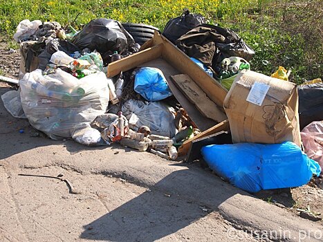 Владельцы гаражей в Глазове за лето накопили 50 тонн мусора
