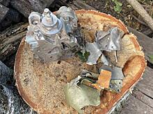 В Курской области зафиксировано падение обломков и целых БПЛА