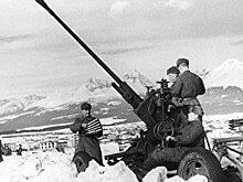 Die Welt (Германия): «Молодые белые нагие тела сверкают на солнце»