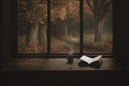 В библиотеке №171 рекомендовали для прочтения книгу о сне