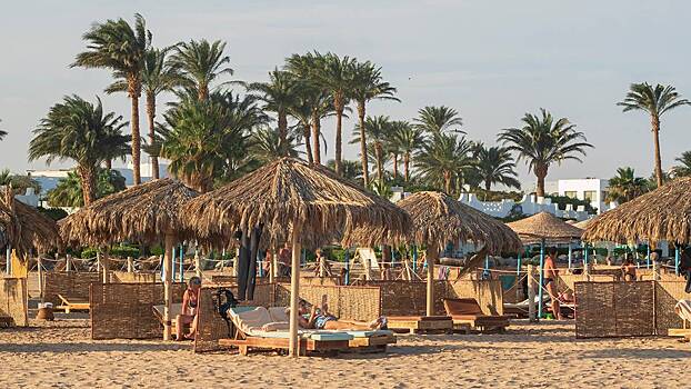 На египетских курортах начали убирать сетку, защищающую туристов от акул