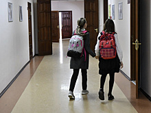 Российские школы хотят обязать ввести строгие требования к форме школьников