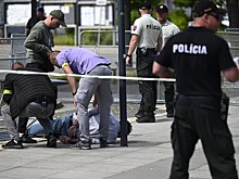 В разведке РФ рассказали о стоявших за покушением на Фицо силах