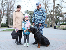 В Севастополе полицейские кинологи вместе с Общественным советом при УМВД присоединились к ежегодной Всероссийской акции «8 Марта – В каждый Дом»