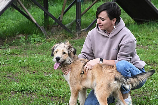 Ветеринар перечислил запрещенные для питомцев продукты со стола человека