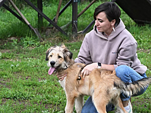 Ветеринар перечислил запрещенные для питомцев продукты со стола человека