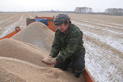 В Омской области "накажут" аграриев за равнодушие к новым технологиям