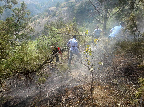 Сараванский лес в опасности: пожар разгорается