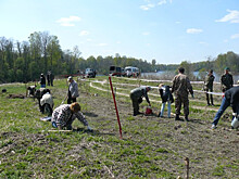 В Смоленской области высадили дубовую аллею «Страна Муравия»