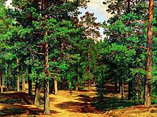 Выставка 90 шедевров в «Новом Иерусалиме». Картины Васнецова и Шишкина смогут оценить даже слепые