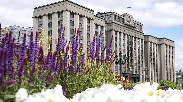 В ГД назвали агонией призыв бундестага передать дальнобойные ракеты Киеву