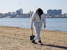 В России оценили перспективы открытия летнего сезона после разлива мазута