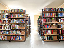 Библиотекарей взяли под контроль