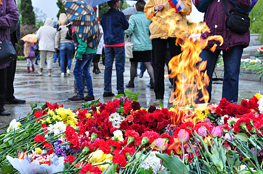 «Внуки Победы». На слет в Калининграде приехали добровольцы из России, Беларуси и Узбекистана