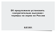 ЕК предложила установить «запретительно высокие» тарифы на зерно из России