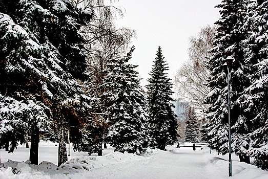 В четверг в Челябинской области – морозно, а в пятницу резко потеплеет