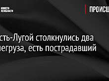 Под Усть-Лугой столкнулись два большегруза, есть пострадавший