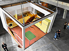 Медузы, волк и американская кухня с китайскими тараканами