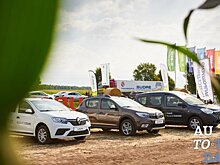 Renault рекордно увеличил долю рынка в Украине