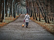 Яндекс Карты «научились» рекомендовать места для прогулок