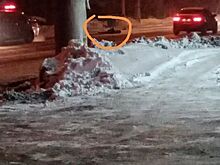 Кузбасские полицейские ищут неизвестного водителя-убийцу