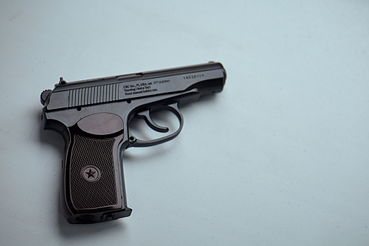 Пятилетняя девочка выстрелила в своего брата из пистолета в Иркутской области