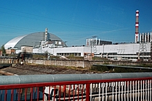 Грибы с места аварии в Чернобыле отправили в космос