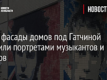 Фото: фасады домов под Гатчиной украсили портретами музыкантов и актеров
