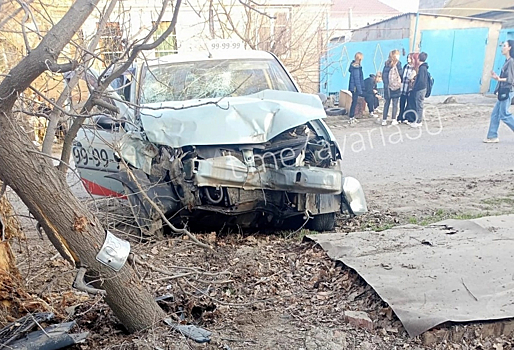 Астраханские подростки угнали такси и врезались в дерево