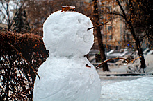 Врач оценил пользу традиционных зимних развлечений для фигуры