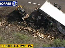 В результате ДТП на дорогу высыпались 40 тыс. куриных наггетсов