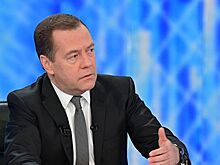 Медведев посоветовал чиновникам "включать мозги"