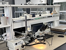 В Нижегородской области заморозили научные гранты для вузов до 2027 года