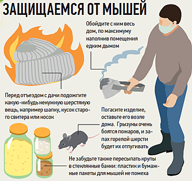 Проще, чем кажется: как подготовить загородный участок к зиме