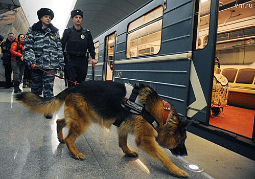 Музей кинологов появится в метро