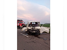 В Тамбовском районе произошло смертельное ДТП с участием грузовика