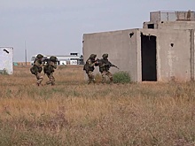 Россия и Пакистан провели совместные военные учения