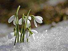 Клуб «Можайка» приглашает на мастер-класс по пирографии