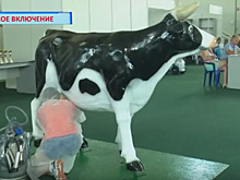 Бронзу за дойку механической коровы взяли новосибирцы в Курске