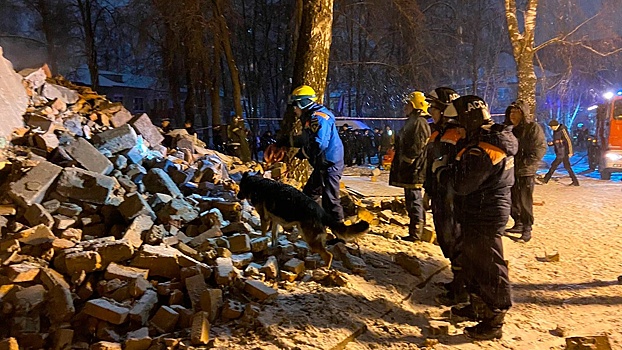 Губернатор Рязанской области сообщил о двух пострадавших при обрушении части жилого дома