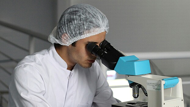 Медики предупредили об опасности микропластика для мозга человека