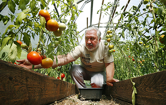 В Госдуме напомнили про льготы для дачников-пенсионеров