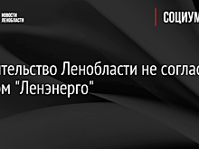 Правительство Ленобласти не согласно с иском "Ленэнерго"