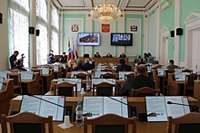 Омские депутаты отчитались о доходах
