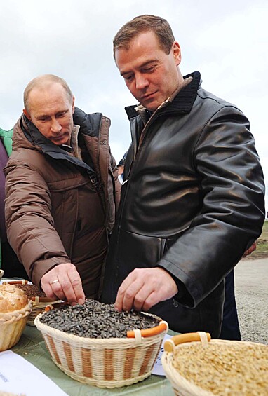  В 2011 году во время посещения Ставропольского края Путин и Медведев приняли участие в уборке урожая кукурузы в одном из хозяйств, испытав работу новых комбайнов