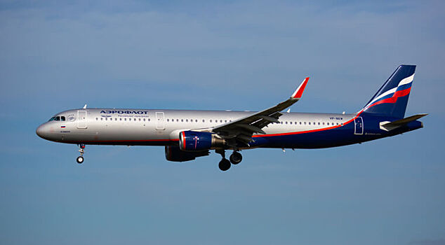 «Аэрофлот» предложил брать плату за регистрацию на рейс в аэропортах