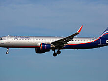 «Аэрофлот» предложил брать плату за регистрацию на рейс в аэропортах