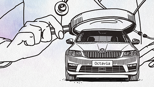 Кафедра детских болезней: Skoda Octavia