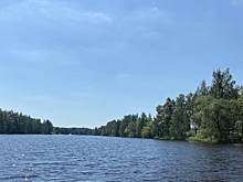 Мужчина утонул в озере Пикшенское в Большеболдинском районе