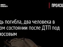 Лошадь погибла, два человека в тяжелом состоянии после ДТП под Ломоносовым